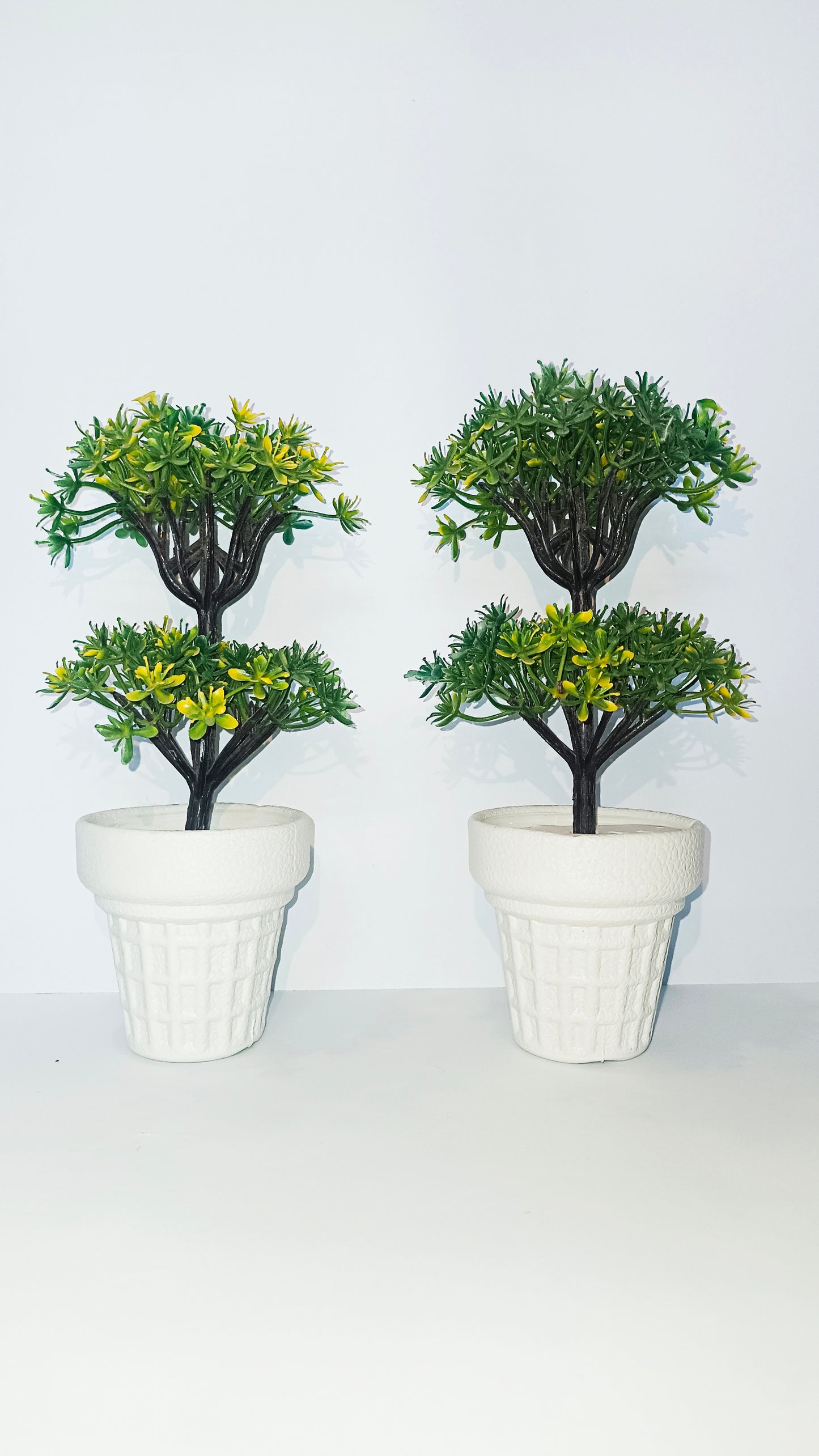 Pair of 2 green leafed pot
