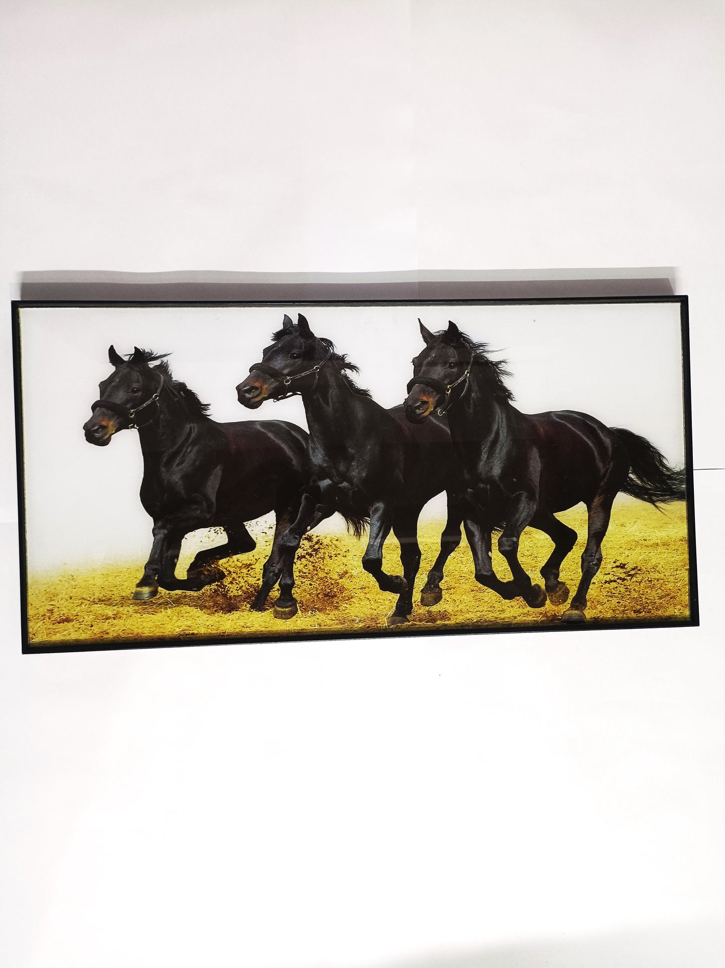 Three Black Horses in the Desert Wall Art.
