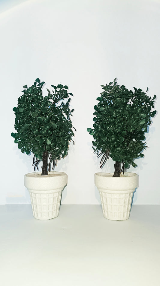 Pair of 2 green leafed pots