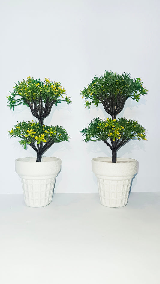 Pair of 2 green leafed pot