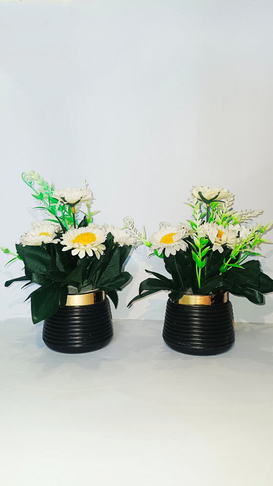 Pair of 2 Daisy flower pots